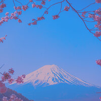Dashing Ambience for Tokyo Jazz Clubs - New York Jazz Lounge