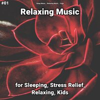 Relaxing Music, Pt. 47 - Sleep Music & Relaxing music & Yoga