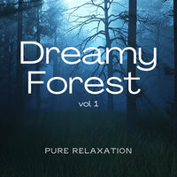 A Chance for Recharge with Magnificent Tunes of Peaceful Forest pt. 3 - Forest Noir