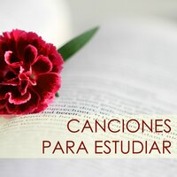 Mente Brillante - Memoria Linda