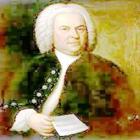 Bach: Air on G String - Richard Settlement