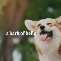 Tail Wags - Music for Sleeping Puppies