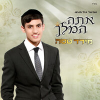 התורה הקדושה - Meydad Tasa