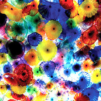 Light - Chris Cowie