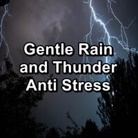 Gentle Rain and Thunder For Yoga and Meditiation To Sleep with for 8 Hours - Sleep Sound Library & Sleep Sounds & Thunderstorm Sleep