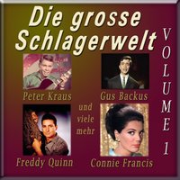 Mondscheinmelodie - Peter Alexander