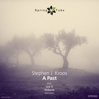 A Past - Stephen J. Kroos