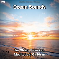 Ocean Sounds Pt. 70 - Beach Sounds & Nature Sounds & Ocean Sounds