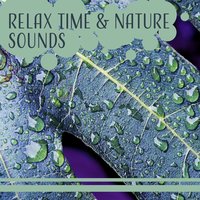 Amazing Sounds of Nature - Sounds of Nature: Thunderstorm, Rain