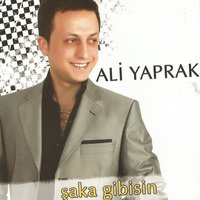 Ankara'nın Efesi - Ali Yaprak