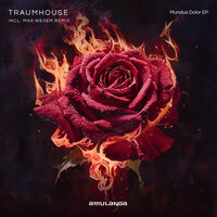 Beatus Insanus - Traumhouse
