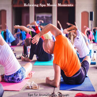 Shakuhachi and Koto Soundtrack for Herbal Massage - Relaxing Spa Music Moments