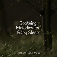 Relax with the Sea - Baby Sleep & Música Zen Relaxante & Brain Study Music Guys