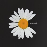 Найтивыход - Jazzbe