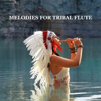 Cherokee Flute Melody - Native Flute American Music Consort