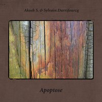 Part I - Akosh S. & Sylvain Darrifourcq
