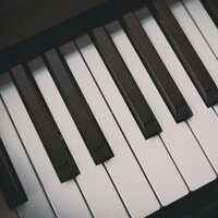 Forest Memory - Exam Study Classical Music