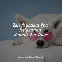Counting Sheep - Jazz Music for Dogs & Music for Dogs Collective & Relaxing Music for Dogs
