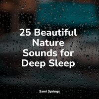 Umbrella Rain - Rain Recorders & Music For Absolute Sleep & Rainforest Sounds