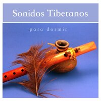 La Calma Noche - Sonidos de la Naturaleza Relajacion