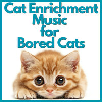 Hushed Twilight Embrace - RelaxMyCat & Cat Music Dreams & Cat Music Zone