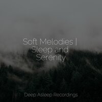 Rocky Beach - Best Relaxing Spa Music & Oasis de Détente et Relaxation & Meditation Awareness