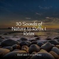 Soft Droplets - Música Zen Relaxante & ZEN & Happy Baby Lullaby Collection