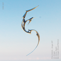 Anger - FKA.SAKA & Druid