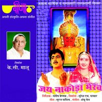 Mhare Chhail Bhanwer - Neerja Pandit