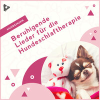 Ruhige Klänge mit Meereswellen - Hundemusik & Entspannende Musik für Hunde & Beruhigende Welpenmusik