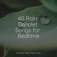 Rain in the City - Meditação Yoga & Rainforest & Zona Música Relaxante