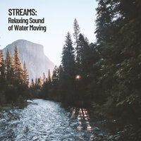 Canyon Stream - Rivers and Streams & Water Science & Waterfall Sounds