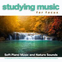 Background Water Sounds and Music For Reading - Music For Studying and Concentration & Studying Music For Focus & Relaxing Sounds of Nature