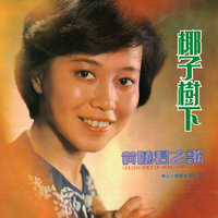 南風吹 - 黃曉君