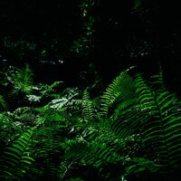 Quiet Time - Namaste Yoga & Brain Study Music Guys & Nature Sounds Radio
