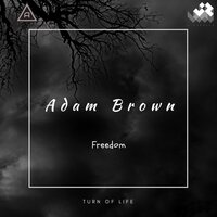 Freedom - Adam Brown