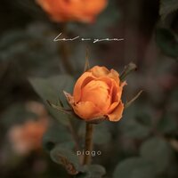 Ointment - Piago