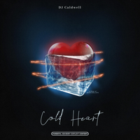Cold Heart - DJ Caldwell