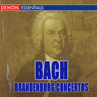 Brandenburg Concerto No.  4 in G Major BWV 1049: II. Andante - Karel Brazda & Philharmonia Slavonica & Johann Sebastian Bach
