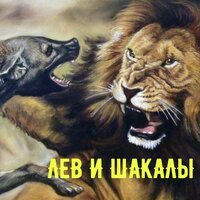 Лев и шакалы - ARTURO