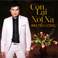 Kỷ Niệm Vụt Tan - Kim Tiểu Long