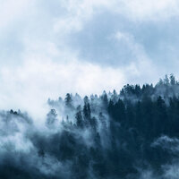 Away and Beyond - Nature Sounds Nature Music & Sleep Tight & Wellness