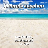 Erinnerungen am Ufer - Wellenrauschen & Naturgeräusche & Meeresrauschen
