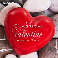 The Four Seasons, Concerto No. 2 in G Minor, Op. 8, RV 315, "L'estate" (Summer): I. Allegro non molto - The New Classical Consortium & Антонио Вивальди
