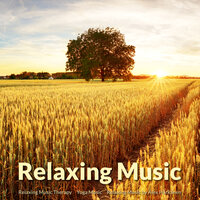 Magnificent Meditation Music - Relaxing Music Therapy & Yoga Music & Relaxing Music by Alex Härkänen