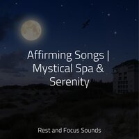 Meditations on Light - Musica Reiki & Meditação Yoga & Massagem Coleção de Músicas