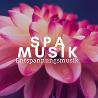 Zen Musik zum Entspannen - Mindfulness Background