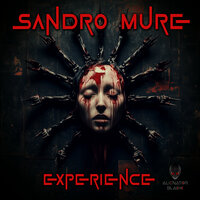 Experience - Sandro Mure