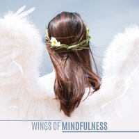 Wings of Mindfulness - Lynn Samadhi