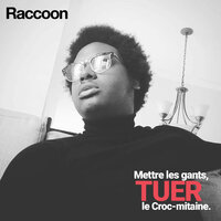 Bad Girl - Raccoon